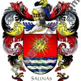 Escudo del apellido Salinas