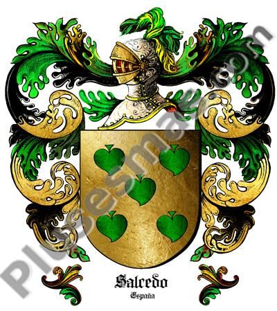 Escudo del apellido Salcedo