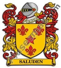 Escudo del apellido Saluden