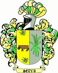 Escudo del apellido Selva