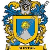 Escudo del apellido Sontag