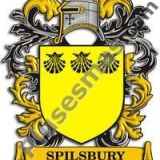 Escudo del apellido Spilsbury