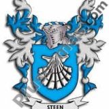 Escudo del apellido Steen