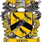 Escudo del apellido Steyn