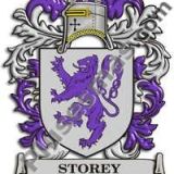 Escudo del apellido Storey