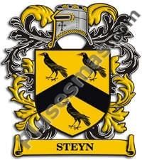 Escudo del apellido Steyn