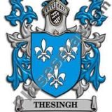 Escudo del apellido Thesingh