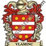 Escudo del apellido Vlaminc