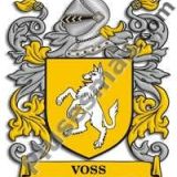 Escudo del apellido Voss
