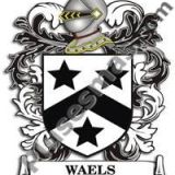 Escudo del apellido Waels