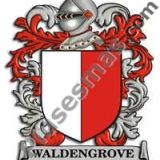Escudo del apellido Waldengrove