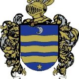 Escudo del apellido Bagorri