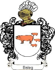 Escudo del apellido Baleg