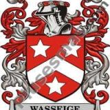 Escudo del apellido Wasseige