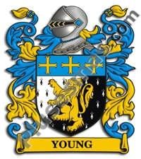 Escudo del apellido Young