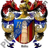 Escudo del apellido Radiu