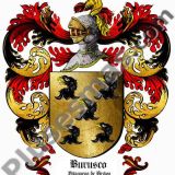 Escudo del apellido Burusco