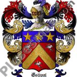 Escudo del apellido Estival