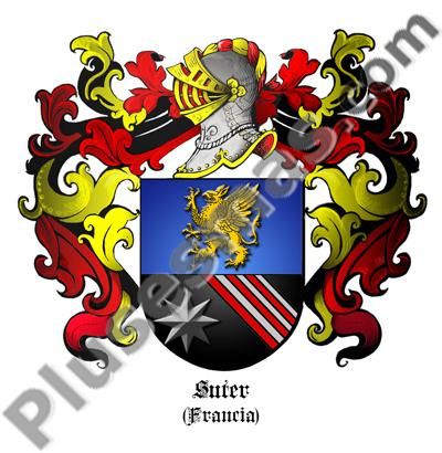 Escudo del apellido Suter