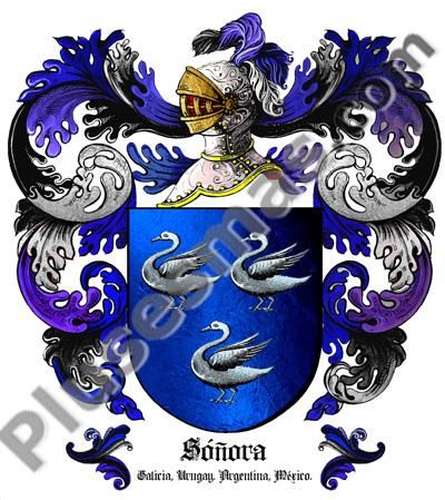 Escudo del apellido Soroña