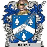 Escudo del apellido Barzic