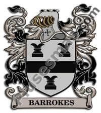 Escudo del apellido Barrokes
