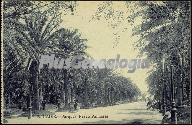 Parque paseo de las palmeras de cádiz