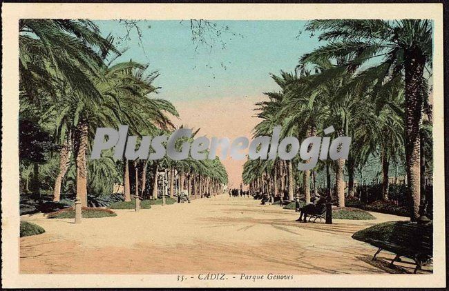 Camino del parque genovés de cádiz