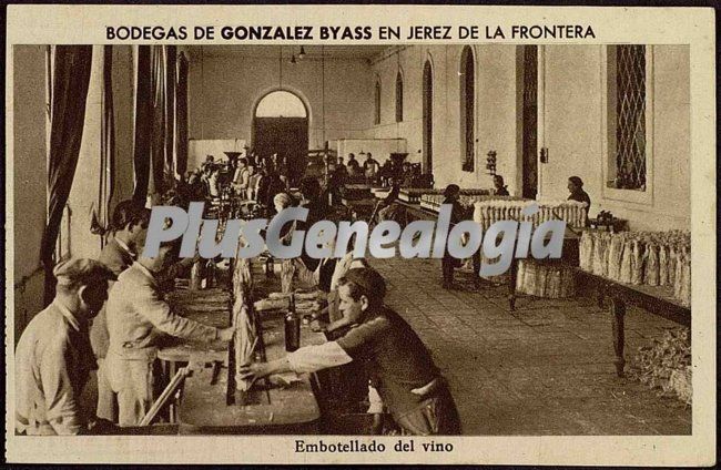 Trabajadores de las bodegas gonzález byaas en jerez de la frontera