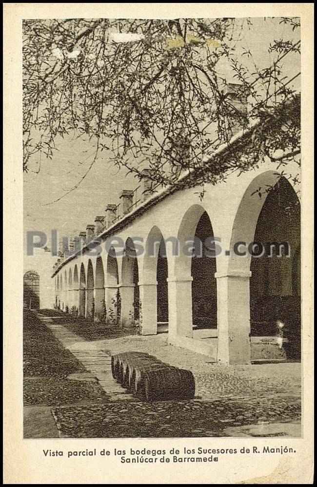 Vista parcial de las bodegas de los sucesores de r. manjón de sanlúcar de barrameda (cádiz)