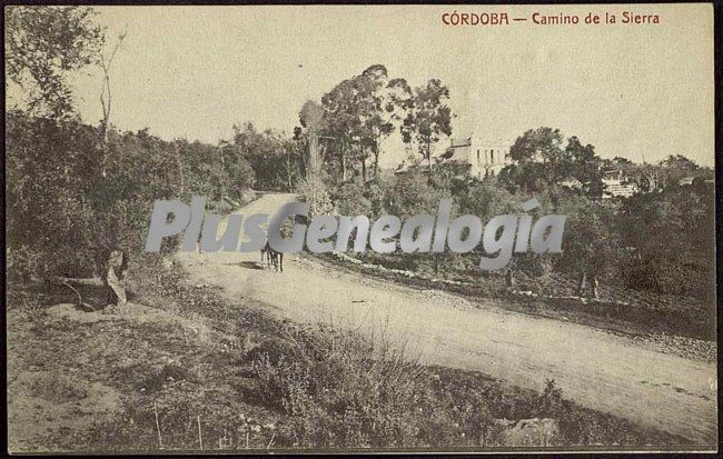 Camino de la sierra de córdoba