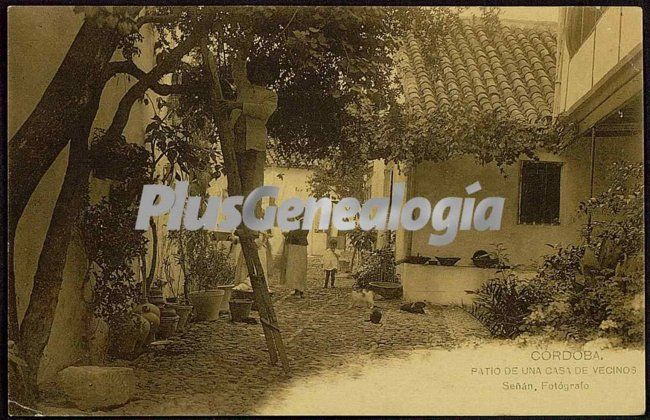 Patio de una casa de vecinos de córdoba