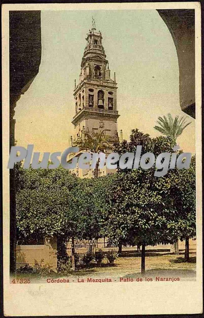 Patio de los naranjos de la mezquita de córdoba