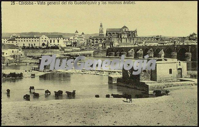 Vista general del río guadalquivir y los molinos árabes