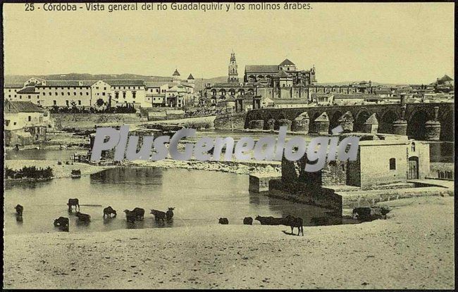 Vista general del río guadalquivir y los molinos árabes