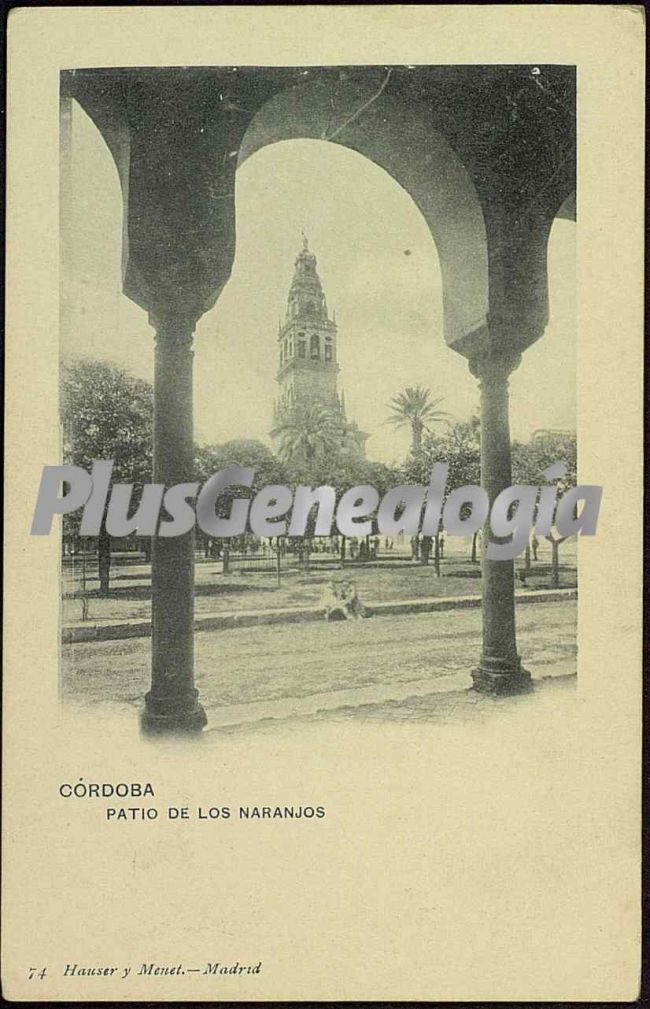 Patio de los naranjos de la mezquita de córdoba