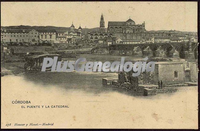 El puente y la catedral de córdoba