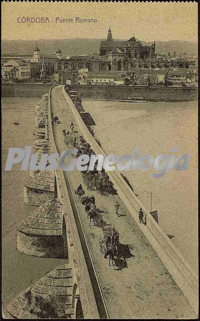 Vista área del puente romano de córdoba