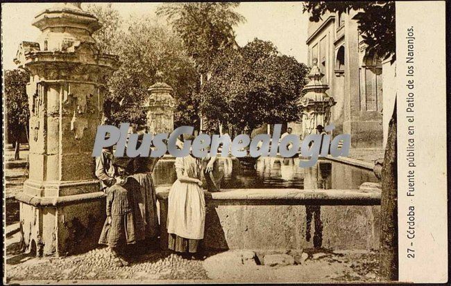 Fuente pública en el patio de los naranjos en córdoba