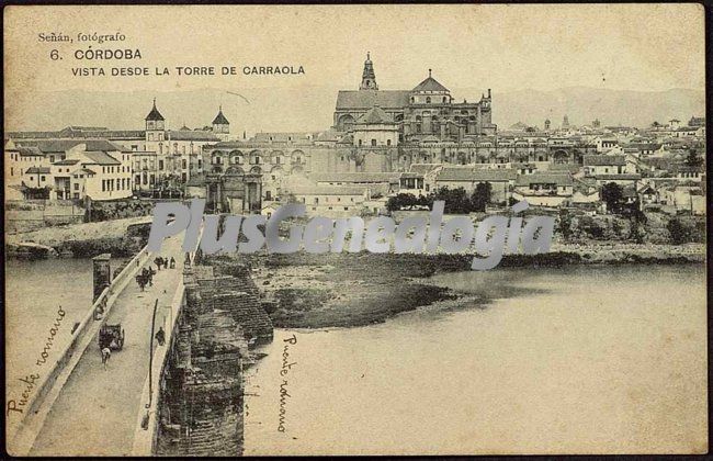 Vista de córdoba desde la torre de carraola