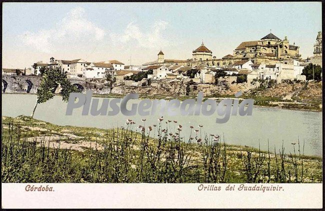 Orillas del guadalquivir a su paso por córdoba