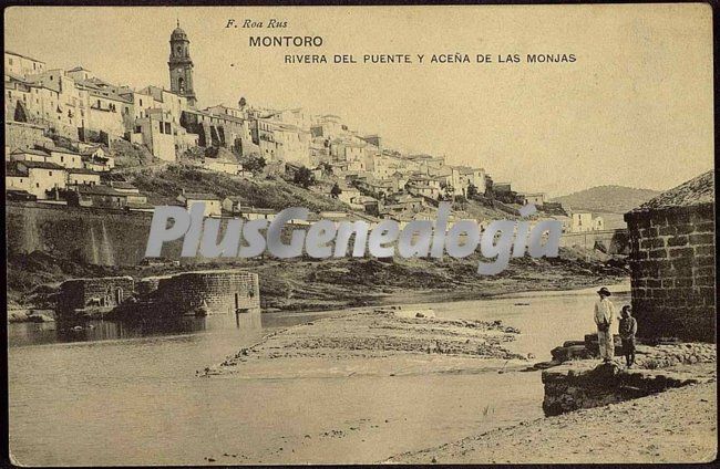 Rivera del puente y aceña de las monjas en montoro (córdoba)