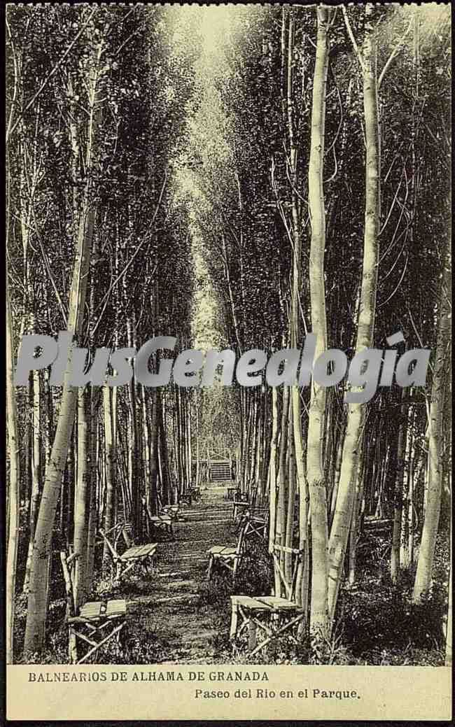 Paseo del río en el parque de alhama (granada)