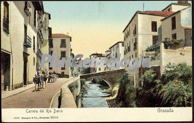 Carrera del río darío en granada