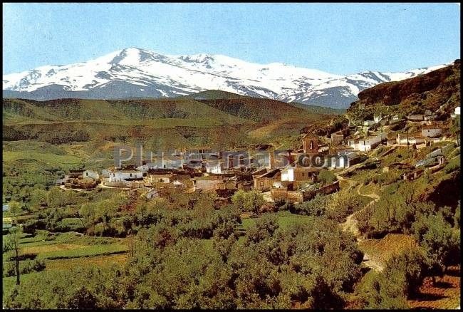 Vista parcial de beas y sierra nevada en purullena (granada)