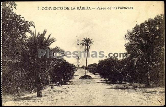 Paseo de las palmeras. convento de la rábida (huelva)