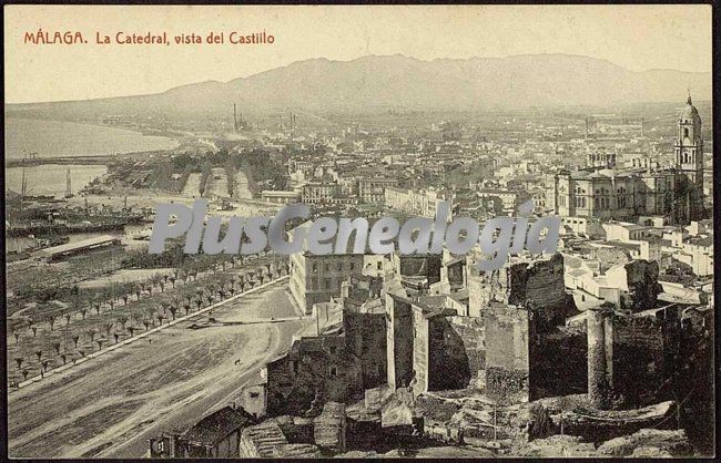 La catedral de málaga vista desde el castillo