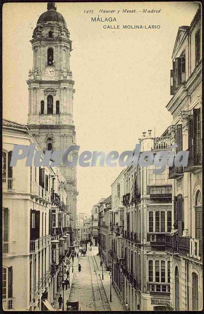 Calle molina - lario en málaga