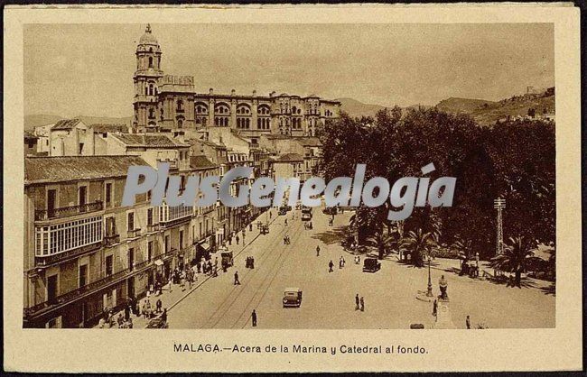 Acera de la marina y catedral de málaga al fondo