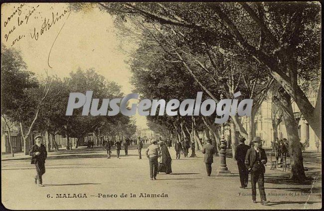 Paseo de la alameda en málaga